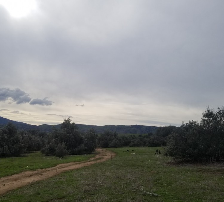 Grove Field Trial Grounds (Corona,&nbspCA)